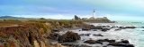 Pigeon Point